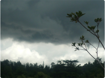 shareef-badmash-image-big